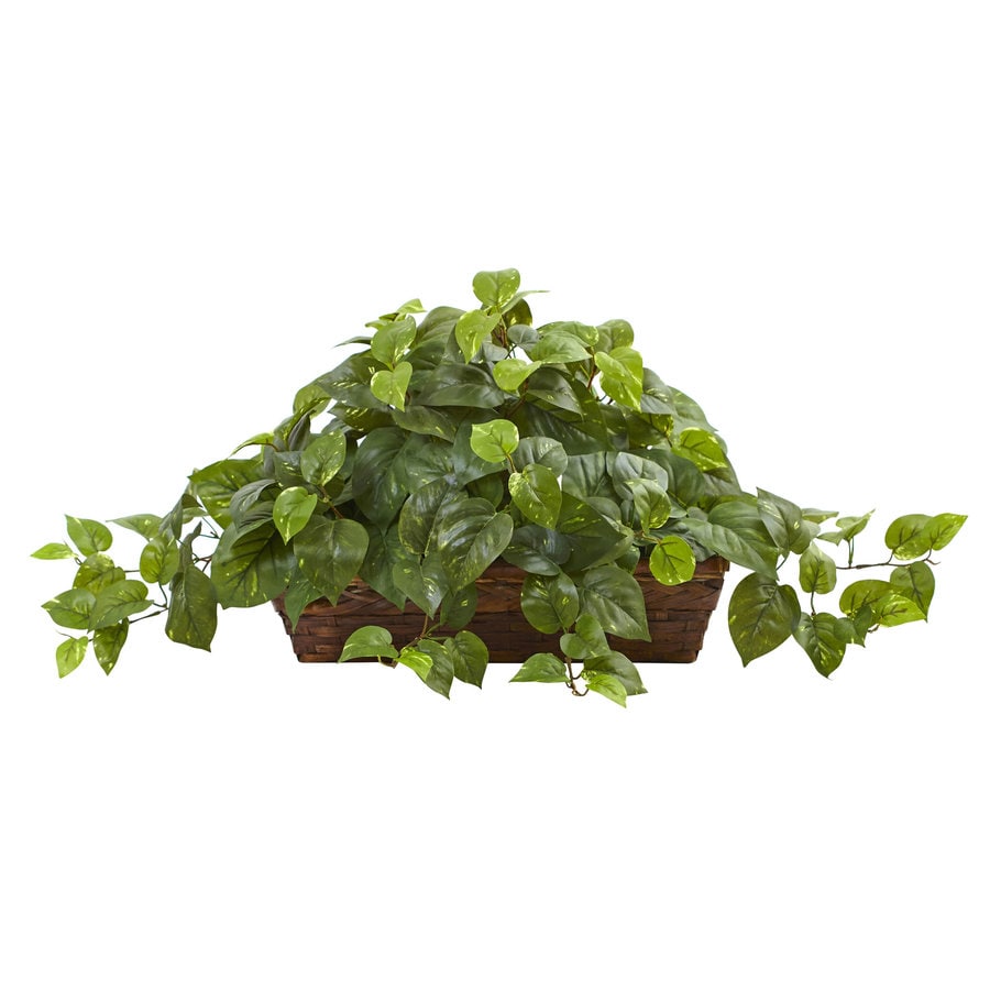 Nearly Natural 15-in Green Artificial Pothos