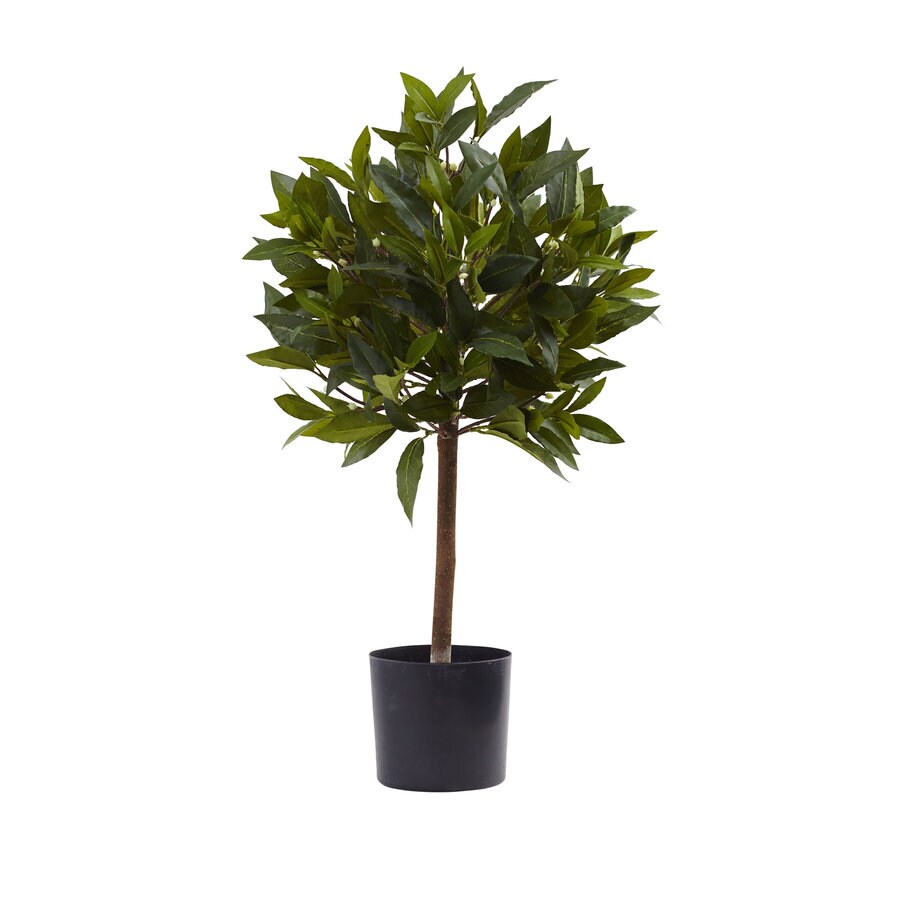 Nearly Natural 24in Green Artificial Sweet Bay at