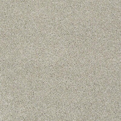 Stainmaster Petprotect Baxter Iv Marmaduke Carpet Sample At Stainmaster Petprotect Baxter Iv Marmaduke Carpet Sample At