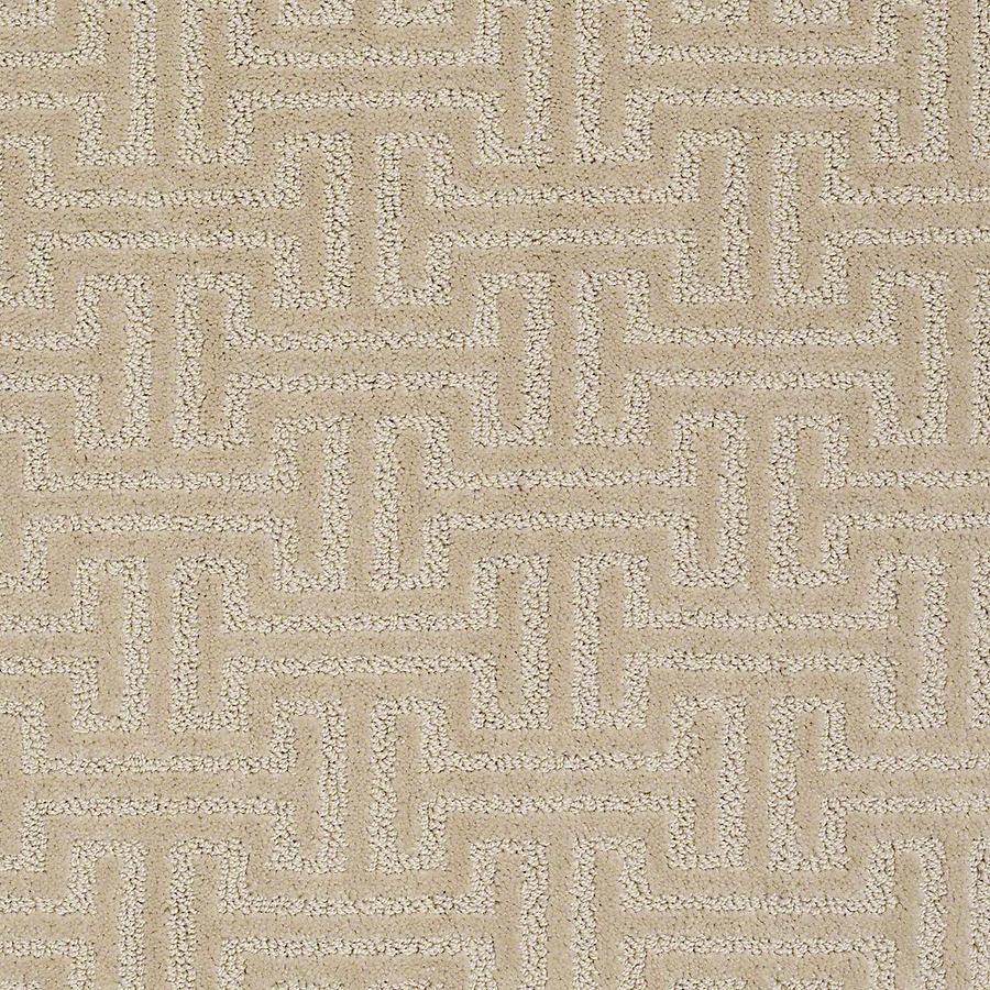 Stainmaster Petprotect Belle Duke Carpet Sample At Lowes Stainmaster Petprotect Belle Duke Carpet Sample