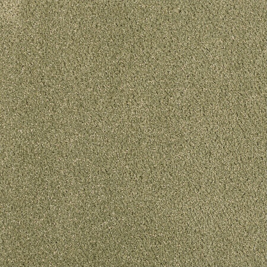 STAINMASTER High Spirits Greenhouse Carpet Sample at