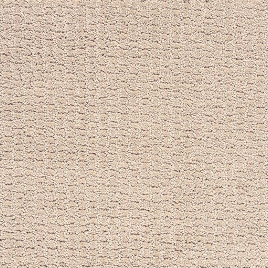 STAINMASTER S12554FRENCH P-ROWN Abundant Life French Pastry Carpet Sample