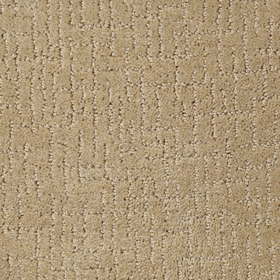 STAINMASTER S12645SADDLE S-ROWN Walk of Fame Saddle Soap Carpet Sample