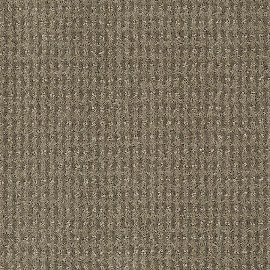 Stainmaster Active Family St John Greige Carpet Sample At Lowes Stainmaster Active Family St John Greige Carpet Sample
