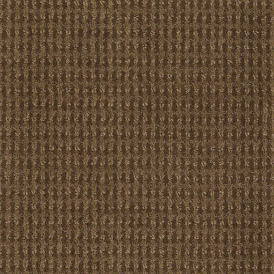 STAINMASTER Active Family St John Toasted Coconut Carpet Sample at