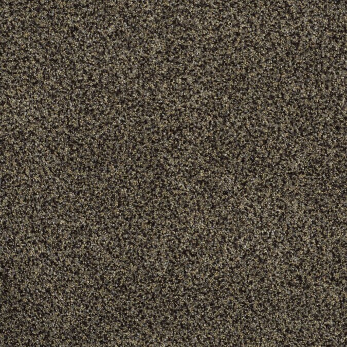STAINMASTER TruSoft Private Oasis II Star Beach Carpet Sample at