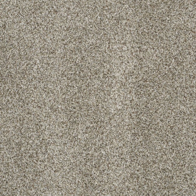 STAINMASTER TruSoft Private Oasis II Key West Carpet Sample at