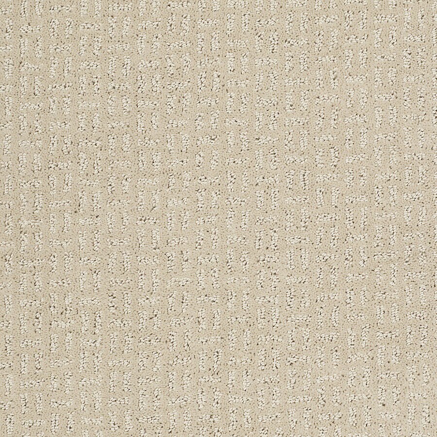 STAINMASTER (Sample) Evolution (S) Sandstone Carpet at Lowes.com