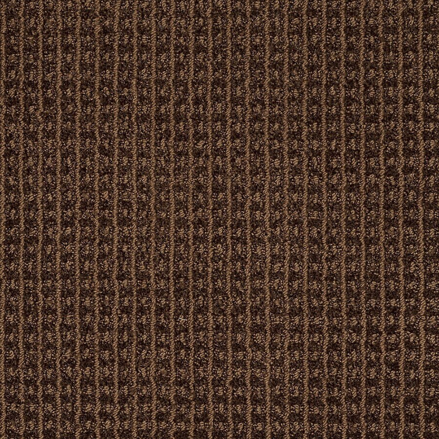 STAINMASTER (Sample) TruSoft Rising Star Boulevard Berber/Loop Carpet ...