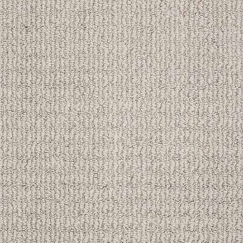 STAINMASTER TruSoft Unequivocal Twilight Gray Carpet Sample at