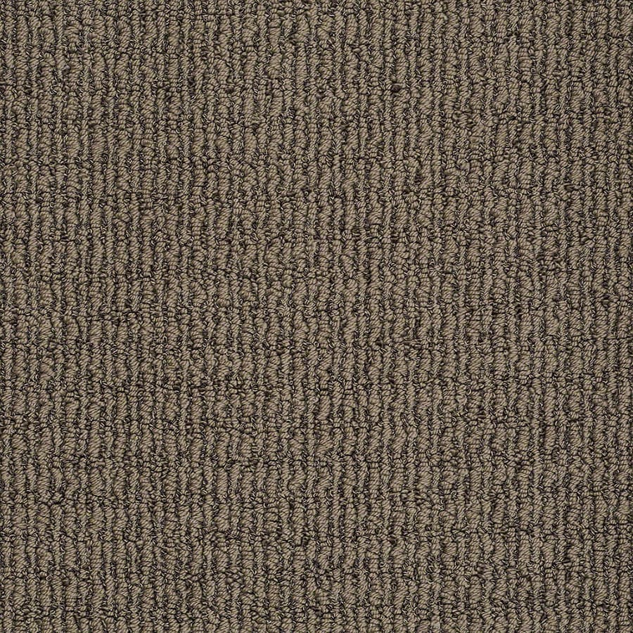 STAINMASTER TruSoft Unequivocal Lasso Brown Carpet Sample at Lowes.com