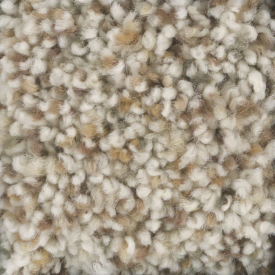 STAINMASTER TruSoft Pronounced Beauty I Vanilla Carpet Sample at