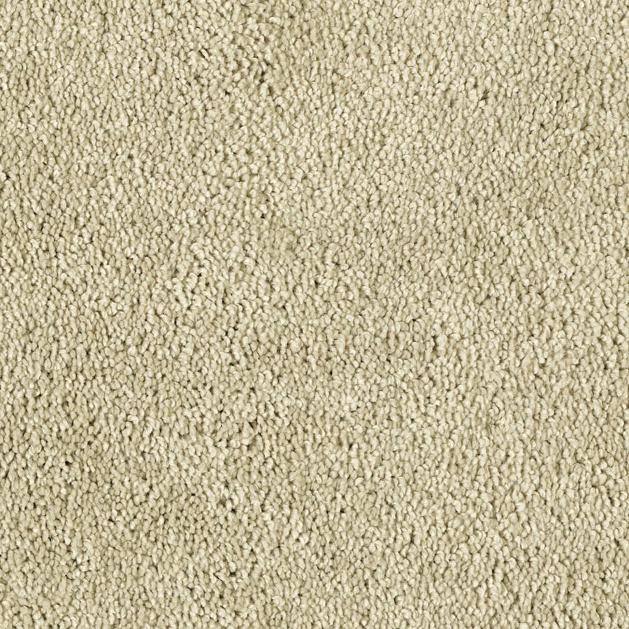 STAINMASTER Essentials Soft and Cozy II French Cream Carpet Sample at