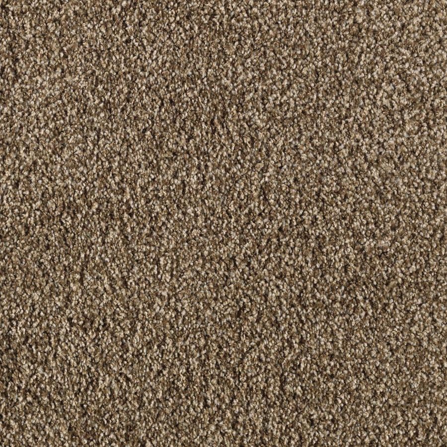 Shop STAINMASTER Seabourne Active Family Dry Dock Frieze Carpet Sample