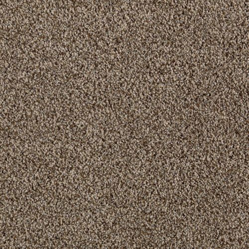 STAINMASTER Essentials Beautiful Design II Drifting Sand Carpet Sample ...