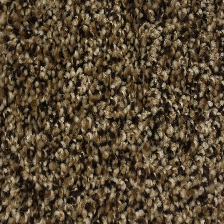 STAINMASTER Essentials Palmer Pioneer Carpet Sample at