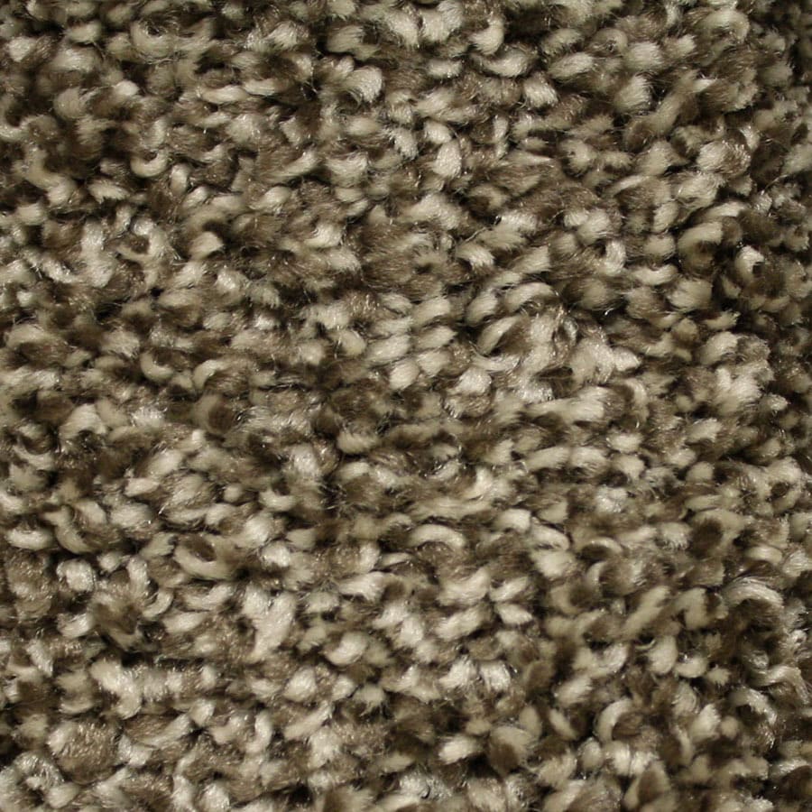 STAINMASTER Essentials Valmeyer Platform Carpet Sample at ...