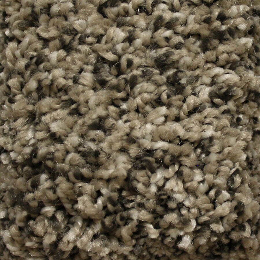 STAINMASTER S669956STOATS N-NEST (Sample) Essentials Valmeyer Express Stoats Nest Plush Carpet