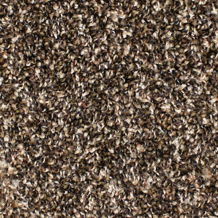 How To Match Wall Paint With Carpet How To Match Wall Paint With Carpet