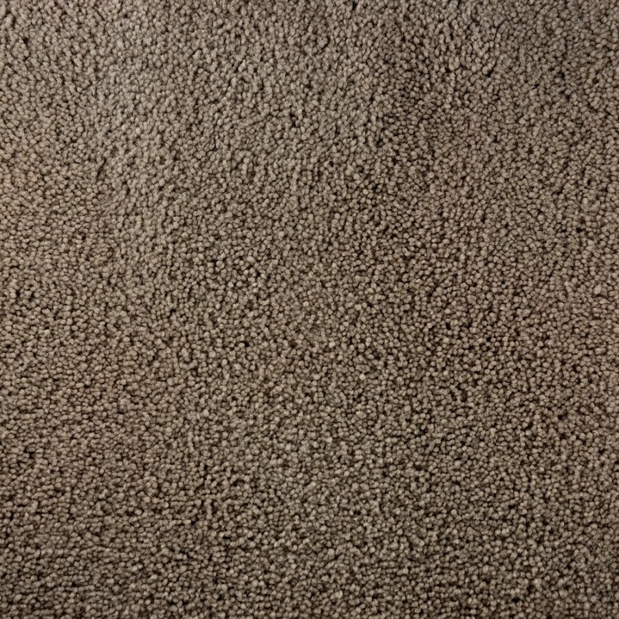 STAINMASTER (Sample) Bellaire Bay Tan/Brown Carpet at Lowes.com