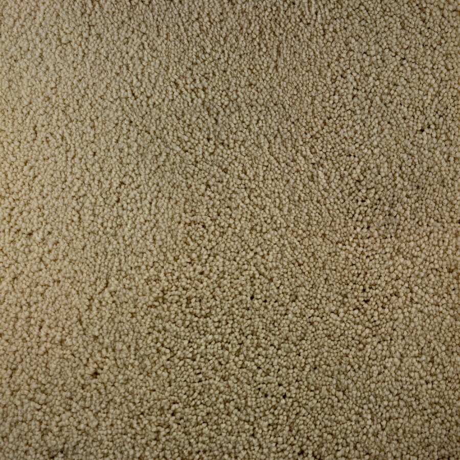 STAINMASTER S331114FLOURISH-RISH Bellaire Bay Flourish Carpet Sample