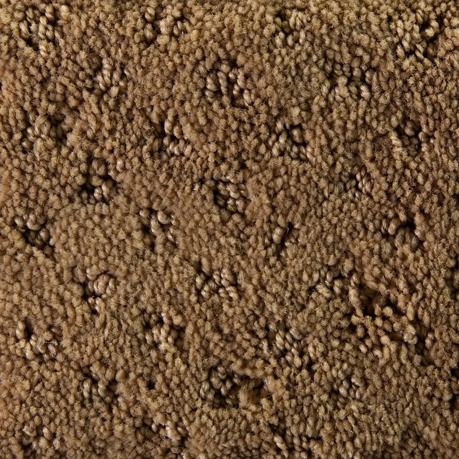 STAINMASTER S255794FINE DAY- DAY Millenia Fine Day Carpet Sample