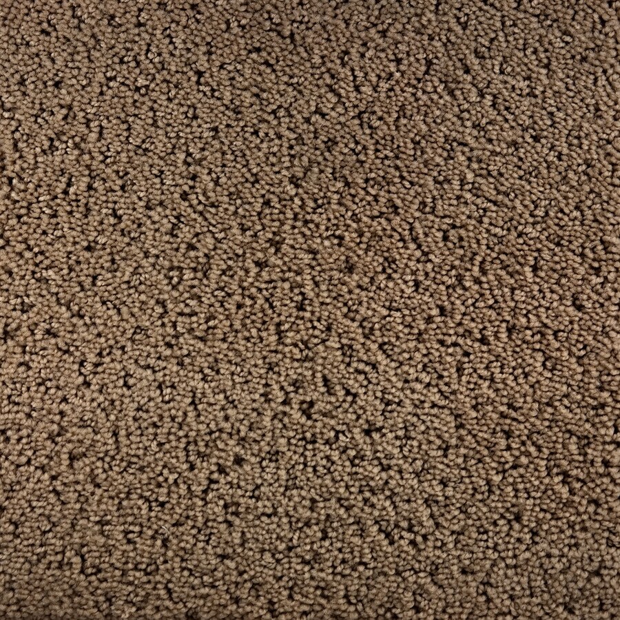STAINMASTER S255794ARCHIVE-HIVE Millenia Archive Carpet Sample