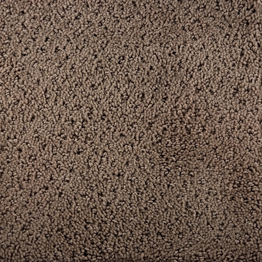 STAINMASTER S255794LISTEN-STEN Millenia Listen Carpet Sample