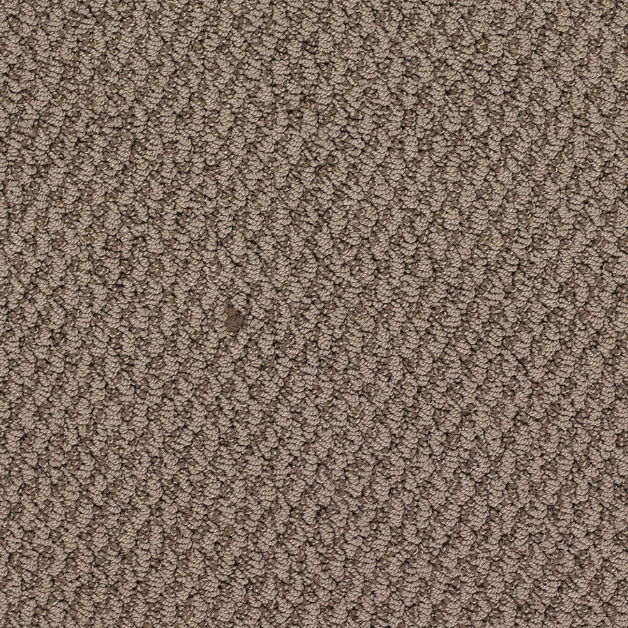 STAINMASTER S663397OLIVER T-WIST (Sample) Active Family Oracle Oliver Twist Berber/Loop Carpet