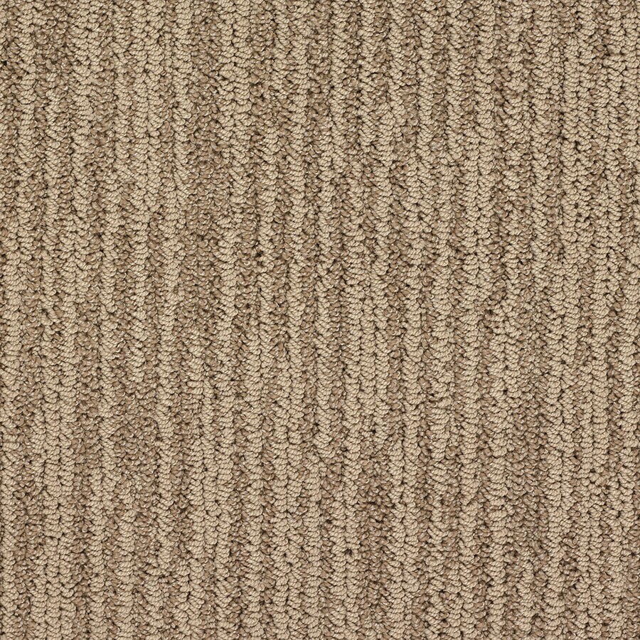 STAINMASTER Olympian Versailles Carpet Sample at Lowes.com