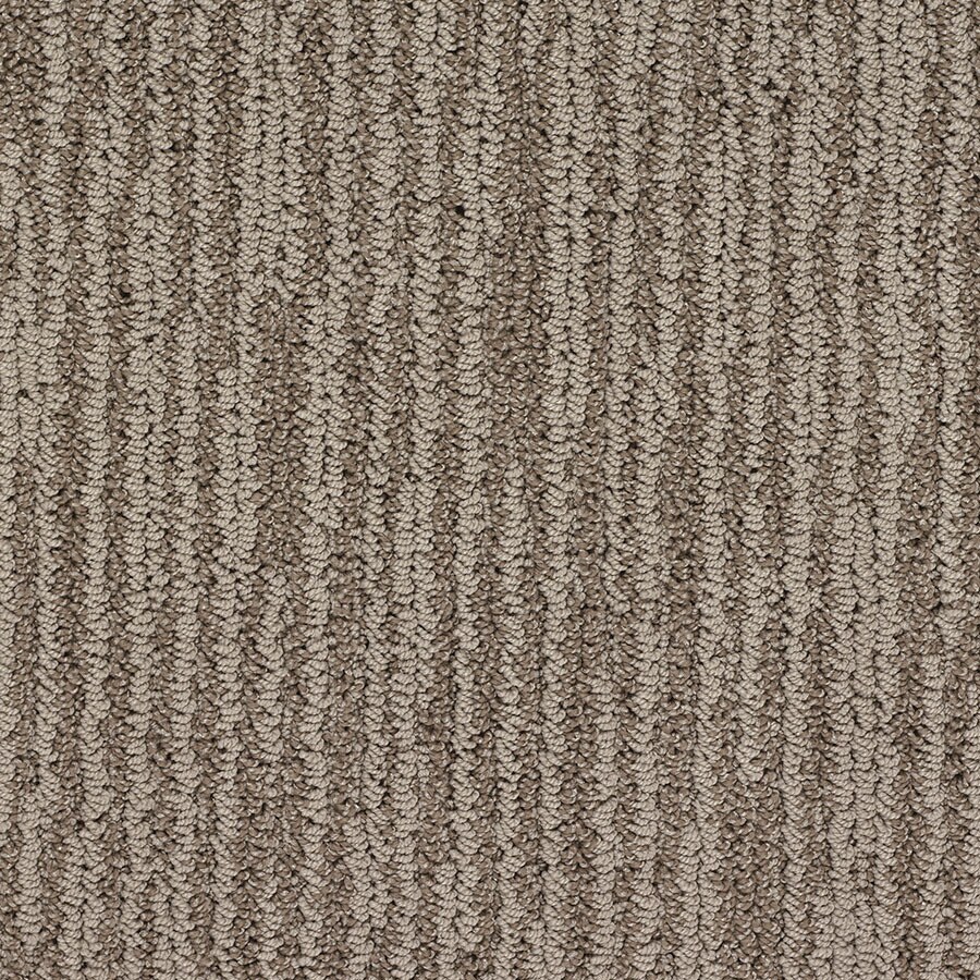 STAINMASTER Olympian Liberty Bell Carpet Sample at