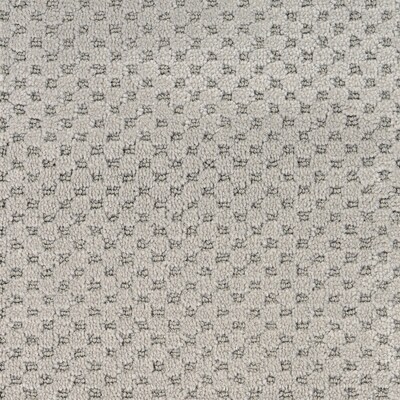 Stainmaster Petprotect Natural Essence Nile Carpet Sample At Stainmaster Petprotect Natural Essence Nile Carpet Sample At