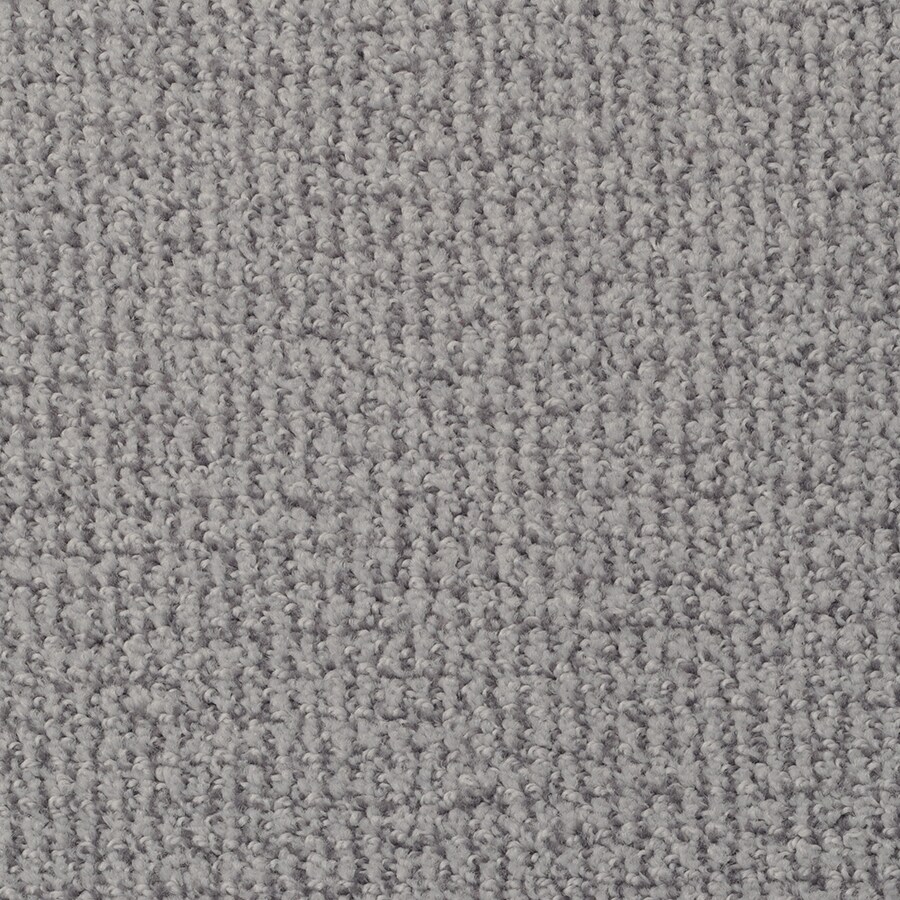 STAINMASTER Active Family Morning Jewel Canyon Carpet Sample at Lowes.com