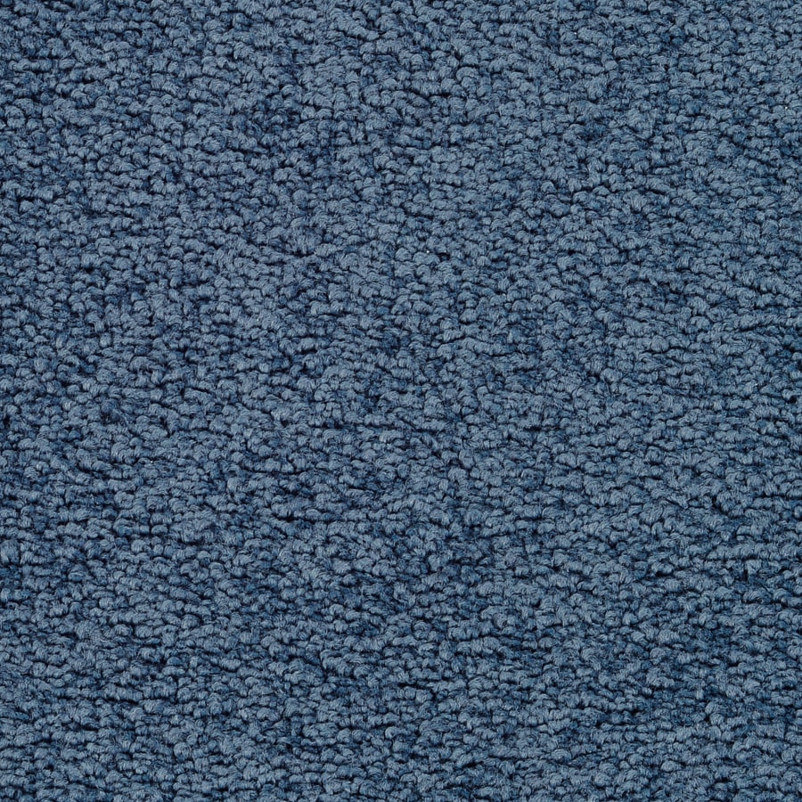 STAINMASTER Active Family Astral Blue Steel Carpet Sample at