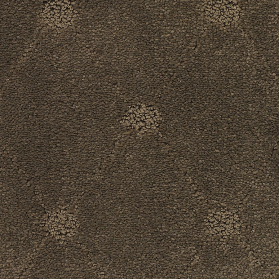 STAINMASTER TruSoft Columbia Valley Neptune Carpet Sample at