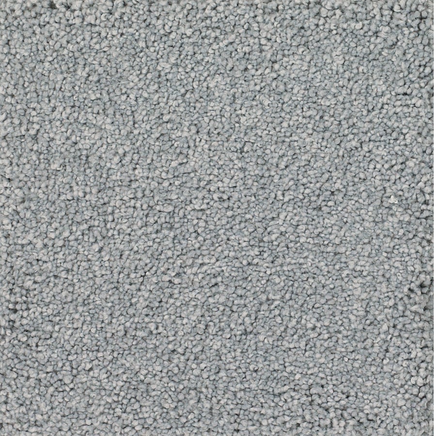 STAINMASTER TruSoft Pomadour Siberian Carpet Sample at
