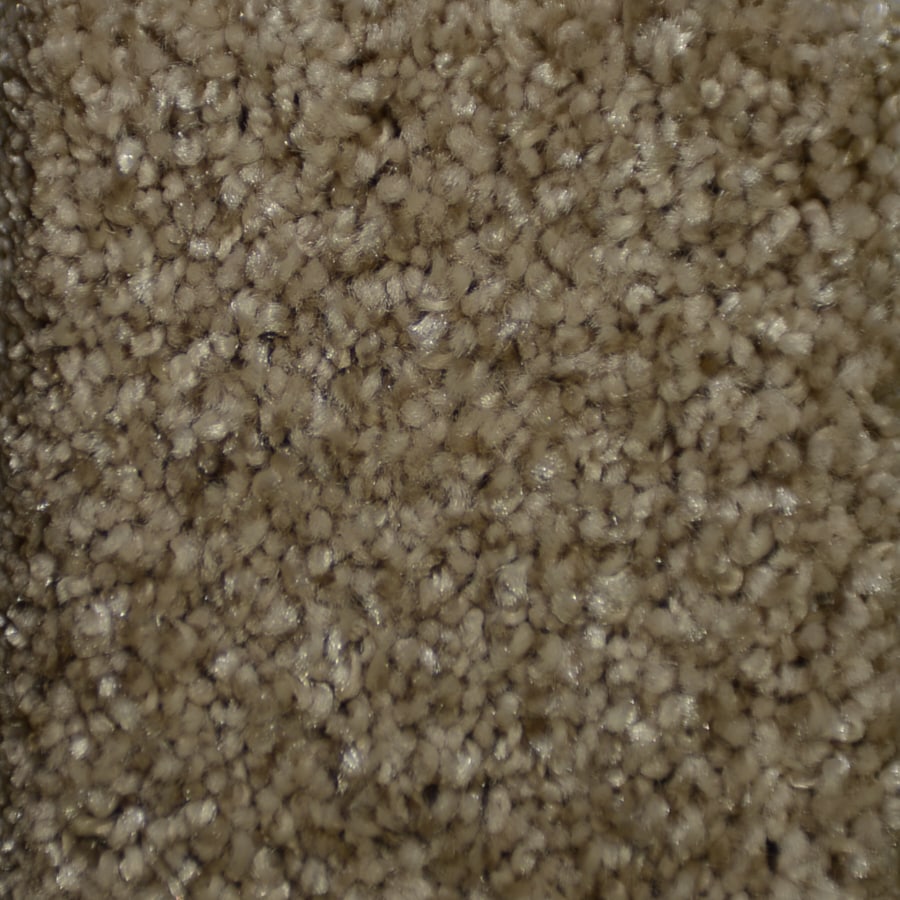 STAINMASTER S405870RYDER-103 (Sample) TruSoft Clearman Estates Ryder Plush Carpet