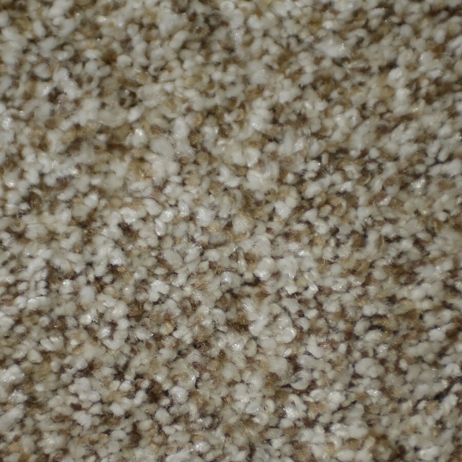 STAINMASTER S405870HOUDINI-114 (Sample) TruSoft Clearman Estates Houdini Plush Carpet