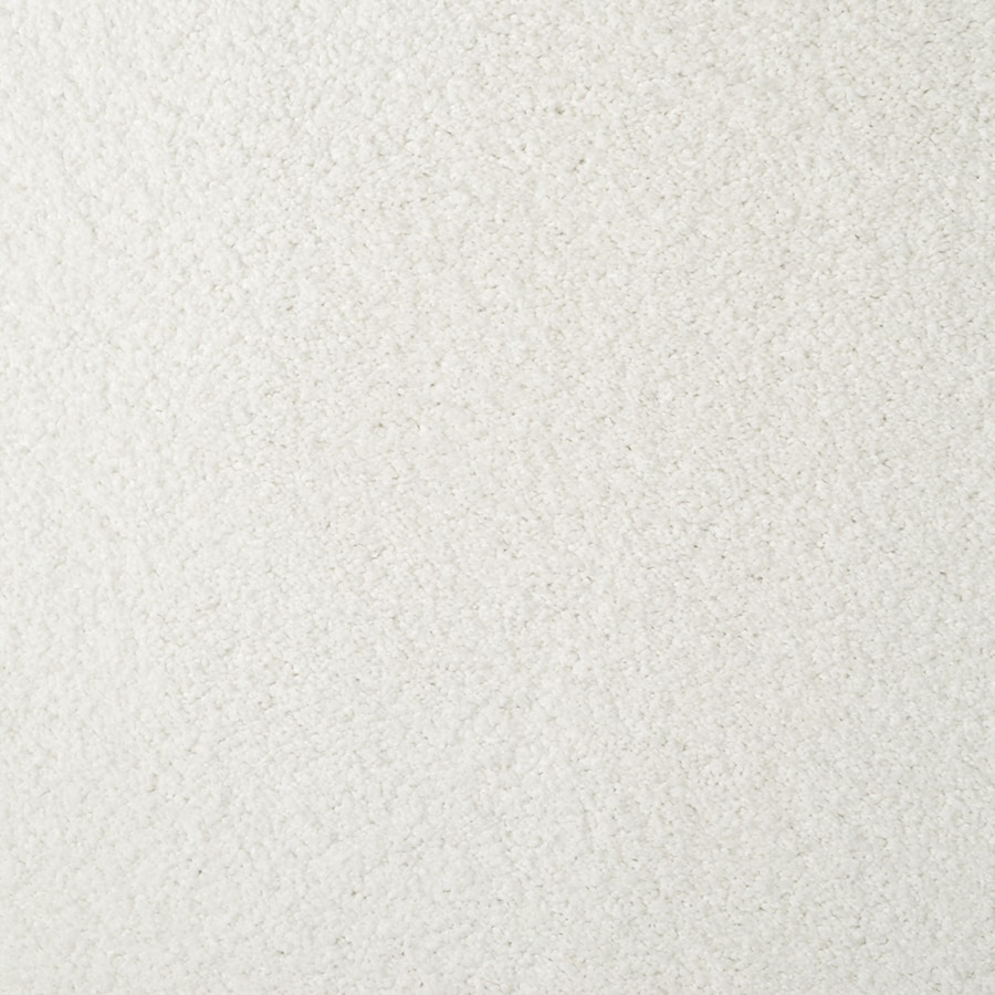 STAINMASTER TruSoft Best of Class White Diamond Carpet Sample at