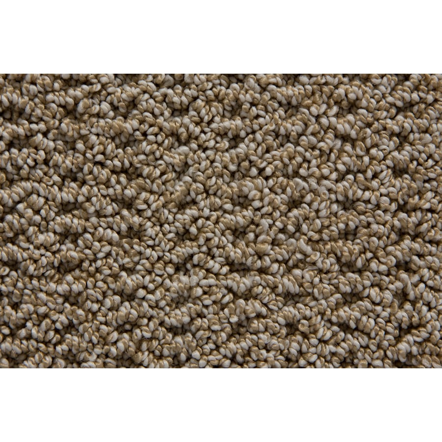 STAINMASTER Merriment TruSoft Sundance Berber Carpet Sample at