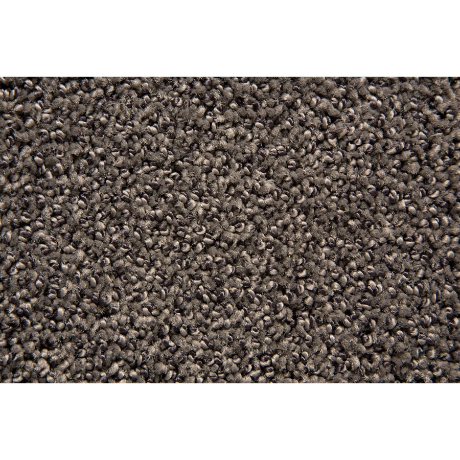 STAINMASTER S663398SOFTIQUE-IQUE Mysterious Softique Carpet Sample