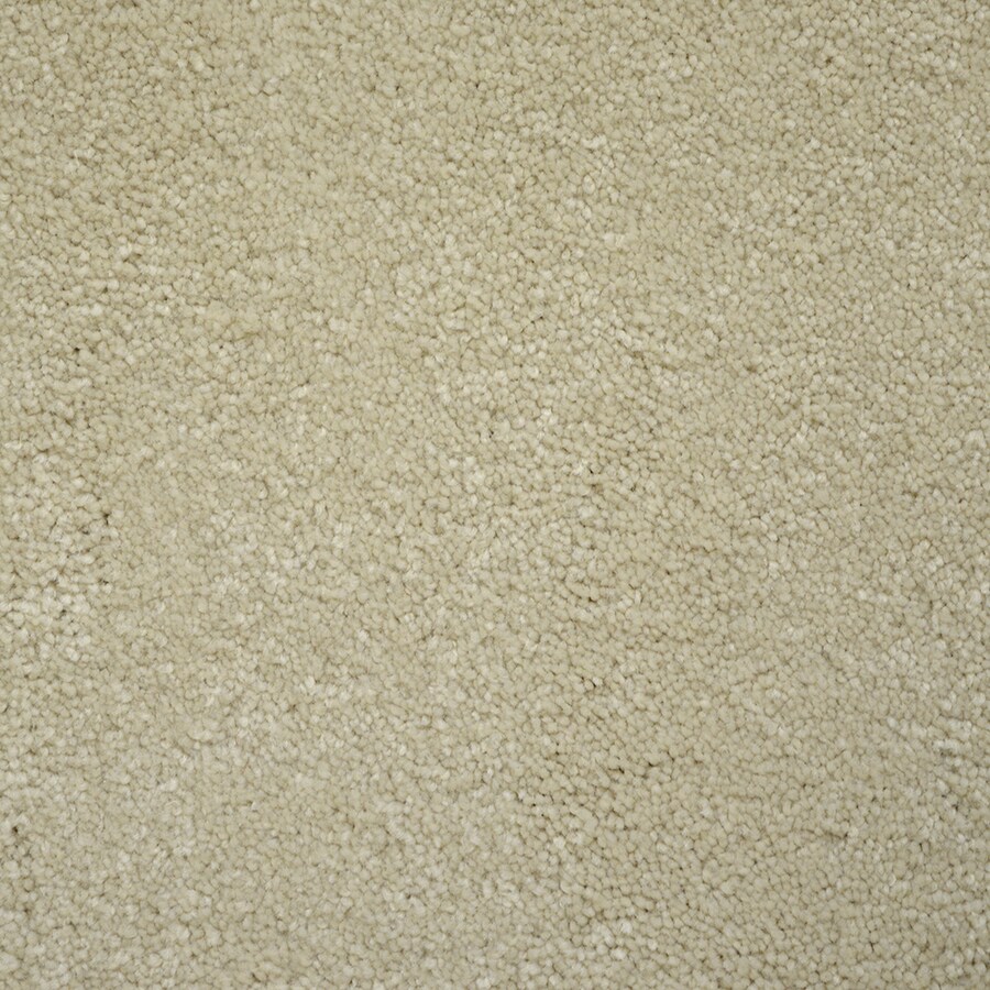 shop stainmaster petprotect purebred class carpet sle shop stainmaster petprotect purebred class carpet sle