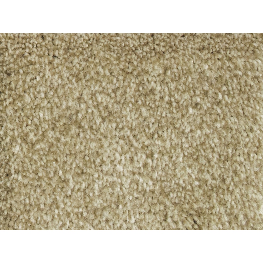 STAINMASTER PetProtect Best in Show Groom Carpet Sample at