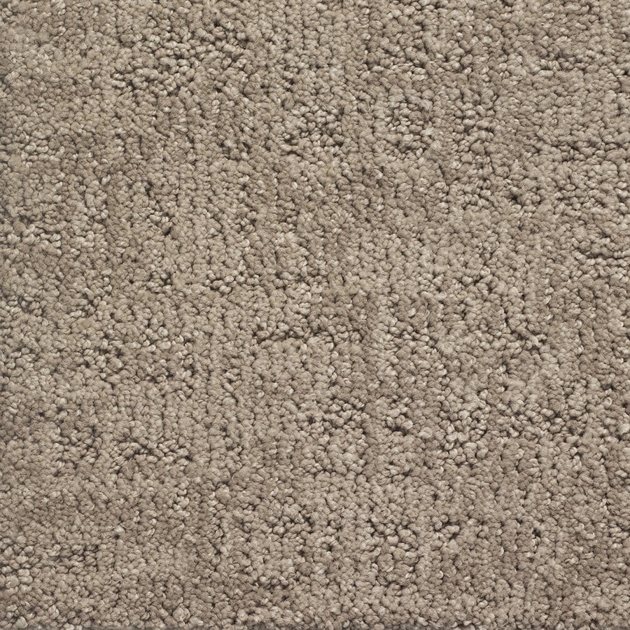 STAINMASTER PetProtect Duke Fido Berber/Loop Carpet Sample at