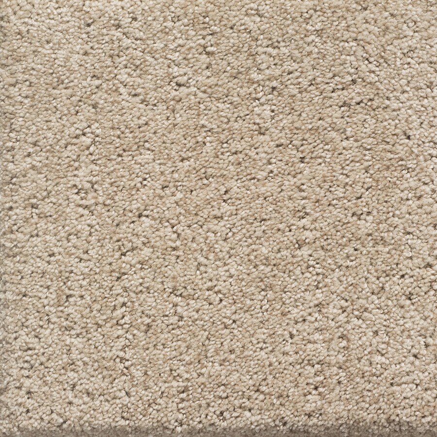 STAINMASTER 16711 Duchess PetProtect Spot Cut and Loop Carpet Sample