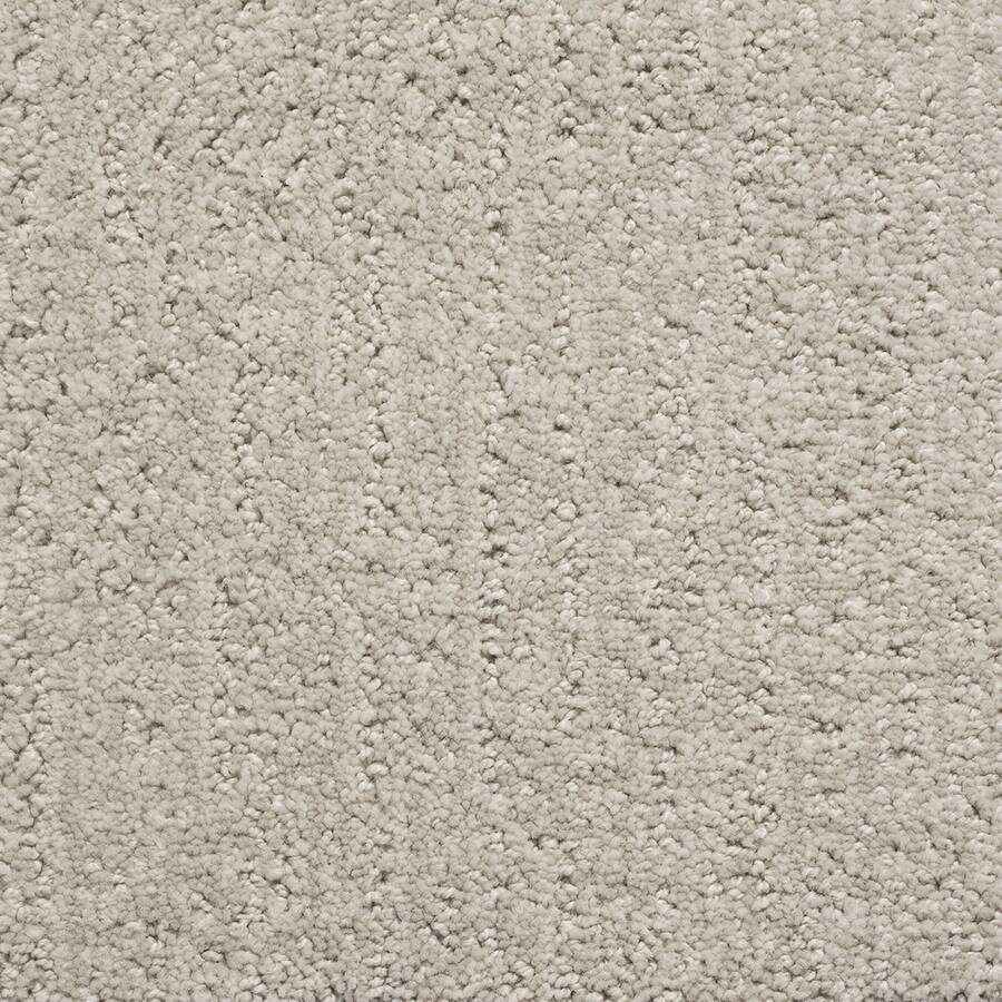 STAINMASTER 16714 Duchess PetProtect Astro Cut and Loop Carpet Sample