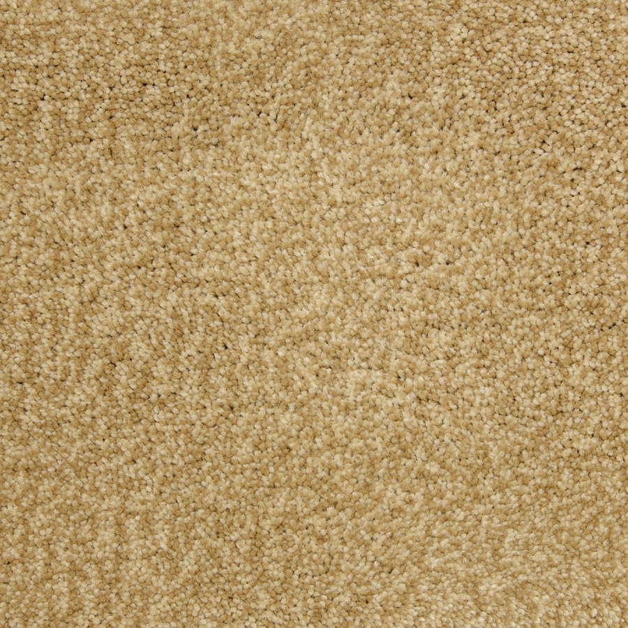 STAINMASTER PetProtect Hypnotized Heirloom Carpet Sample ...