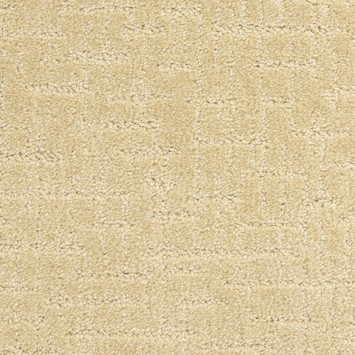 STAINMASTER PetProtect Charmed Fancy Carpet Sample at Lowes.com