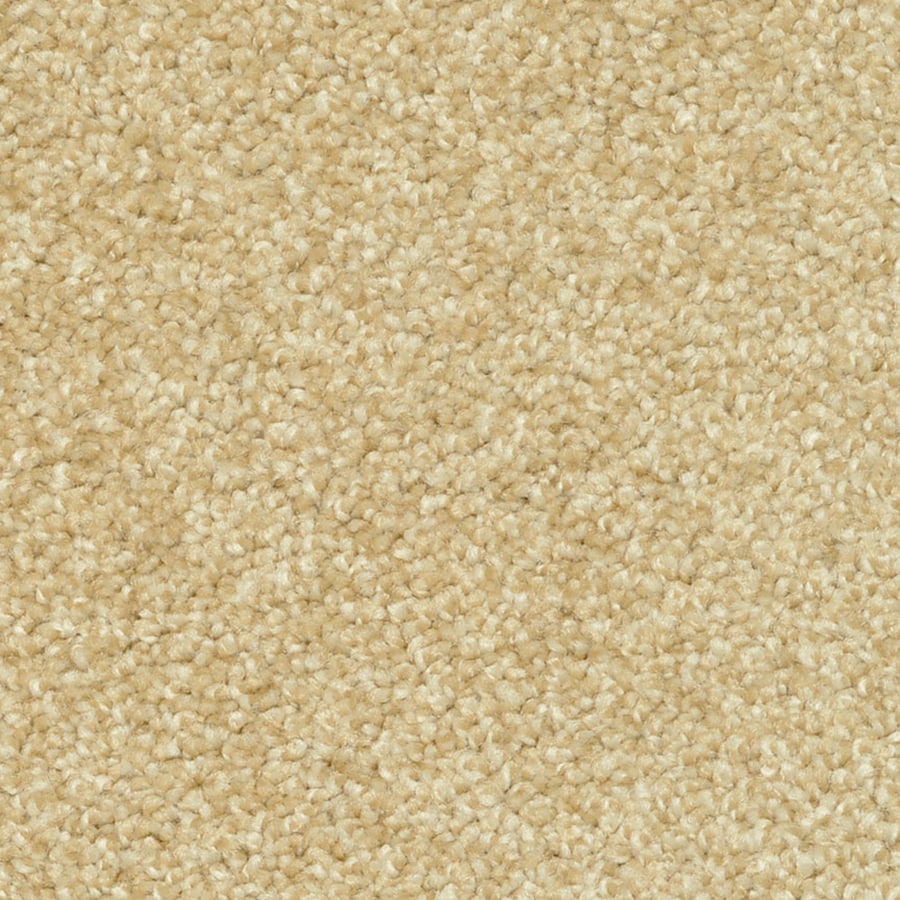 STAINMASTER Day Trip PetProtect Aromatherapy Frieze Carpet Sample at
