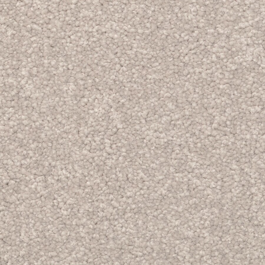 STAINMASTER 6369-501 Excursion PetProtect Archer Frieze Carpet Sample